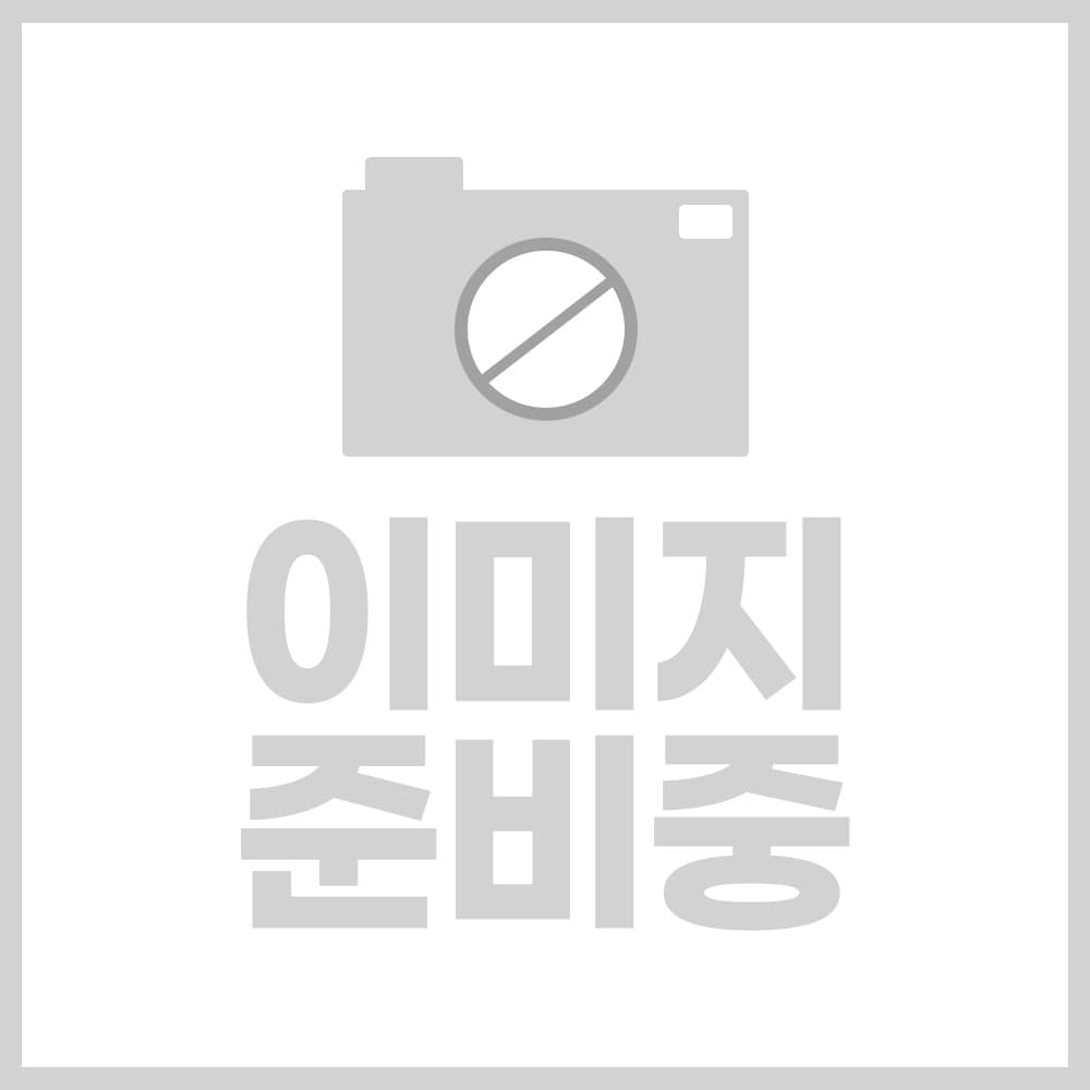 더 맑은숨 비말차단 마스크 50매입청훈메디